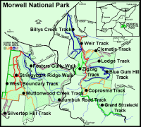 Morwell National Park 29/10/24